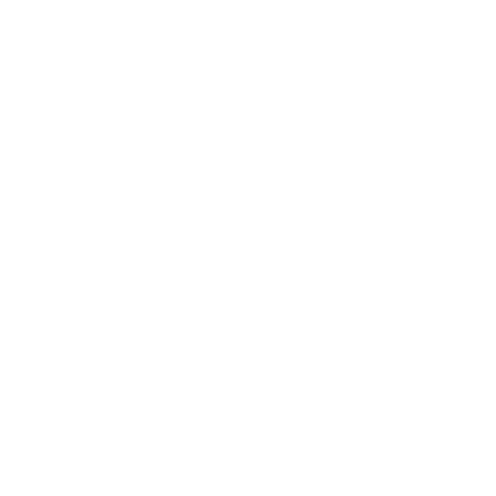 ELLE award_white